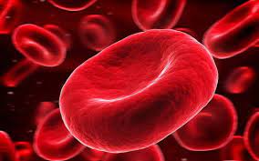 آزمایش همولیز اسمزی یا شکنندگی گلبول های قرمز Osmotic hydrolysis or fragility of red blood cell 1