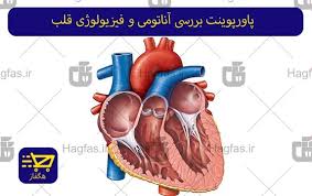 پاورپوینت آناتومی و فیزیولوژی پوست و ارزیابی تشخیصی